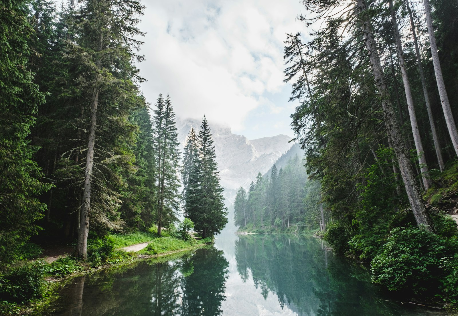 A bridge along the trail. Photo by [Andrew Coelho](https://unsplash.com/@andrewcoelho) on Unsplash.